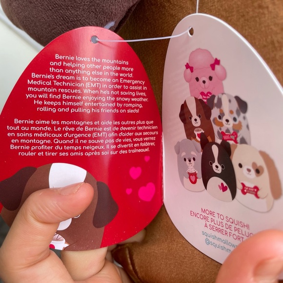 Bernie The Saint Bernard- *Limited Edition* Squishmallow 12” - Picture 4 of 4